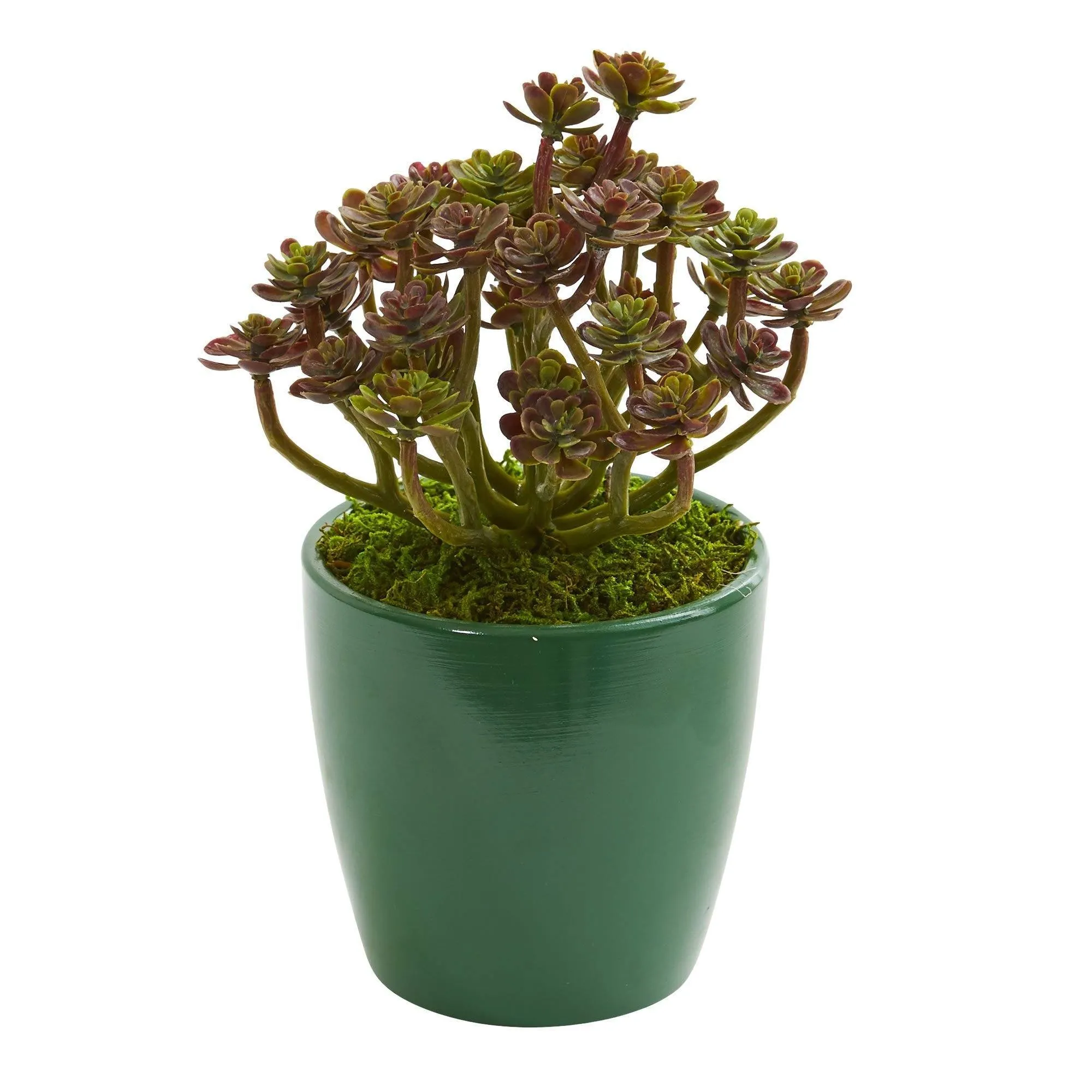 8" Sedum Artificial Plant in Green Planter (Set of 2)"
