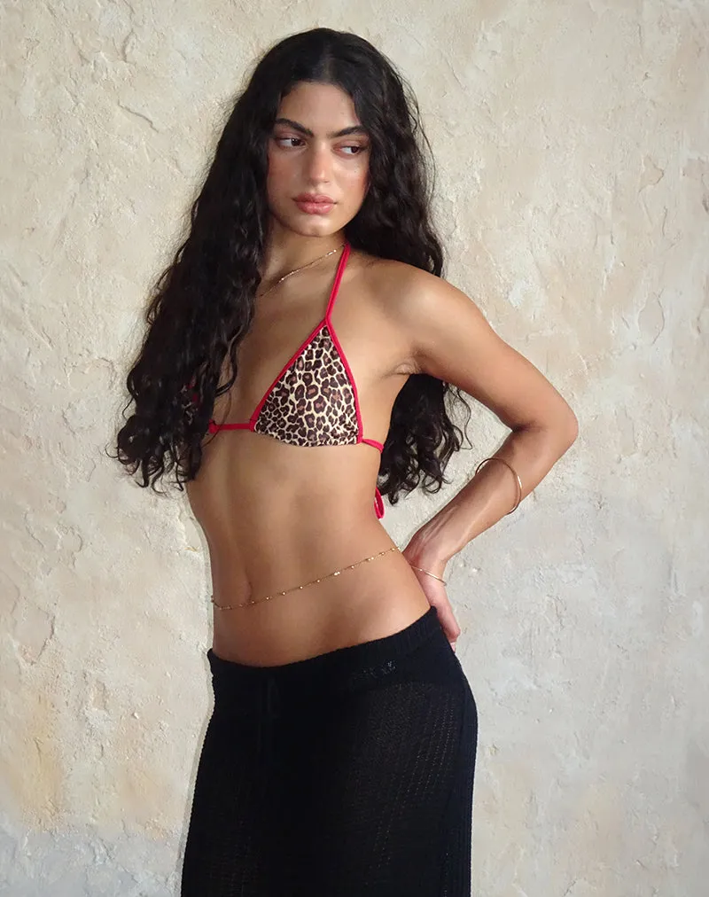 Pami Bikini Top in Rar Leopard with Contrast Ties
