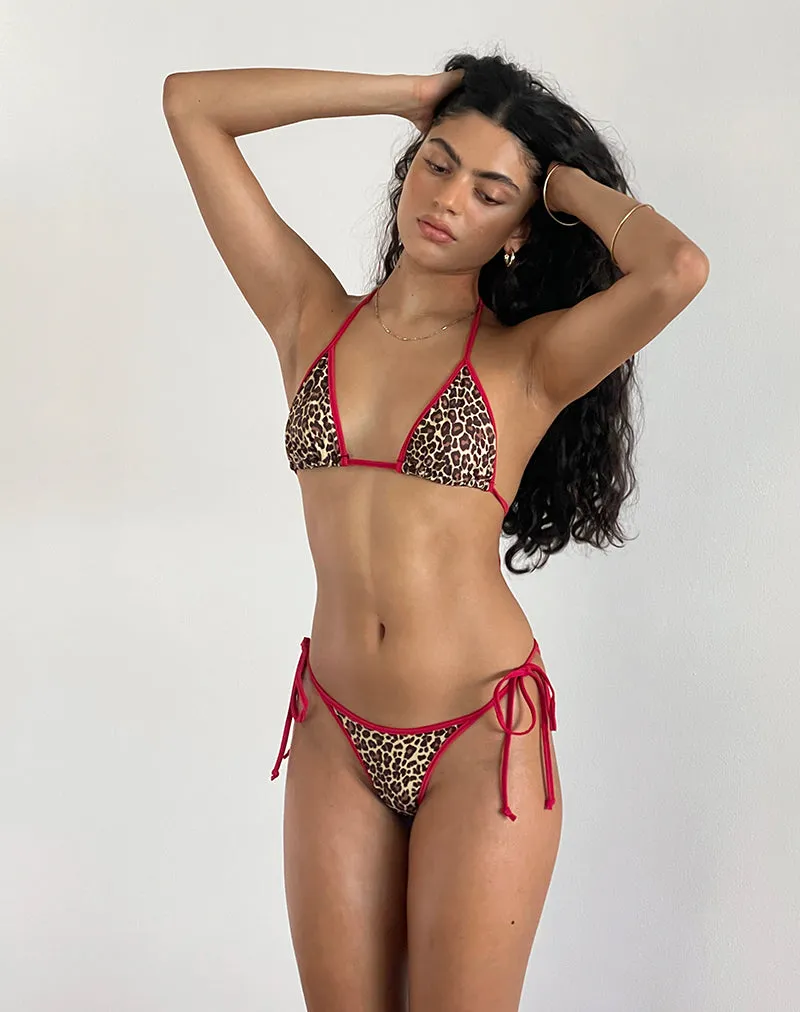 Pami Bikini Top in Rar Leopard with Contrast Ties