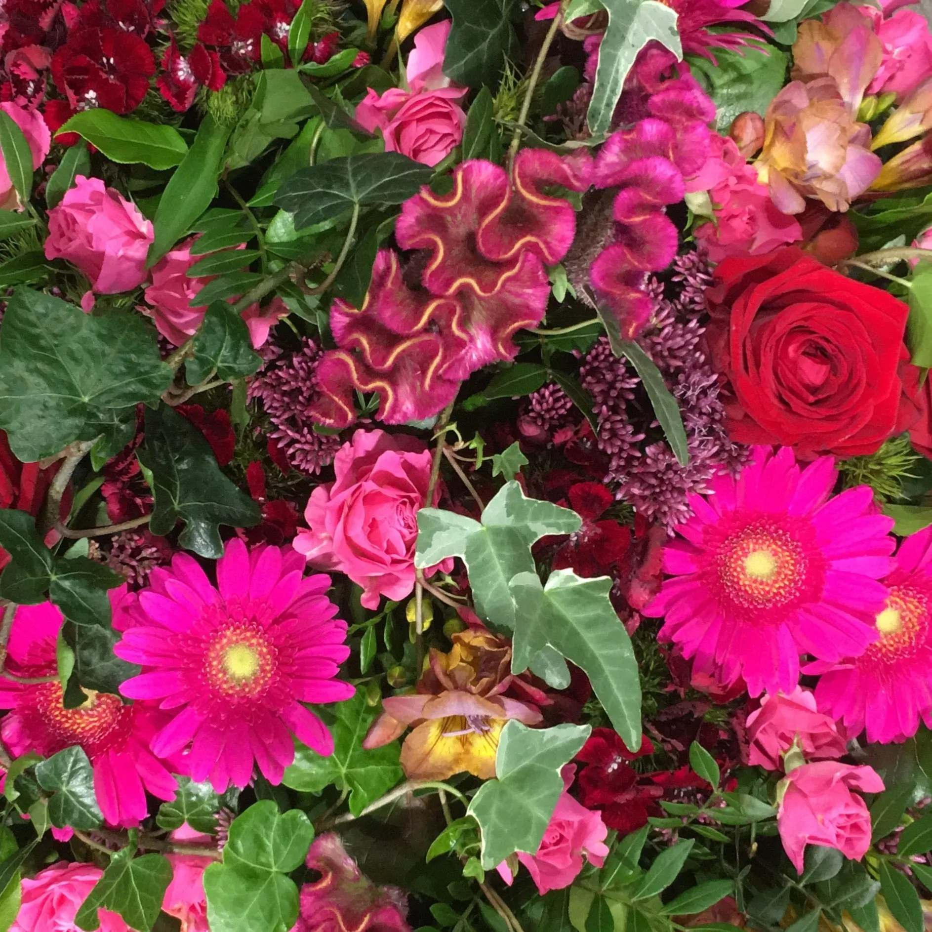 Vibrant Coffin Spray